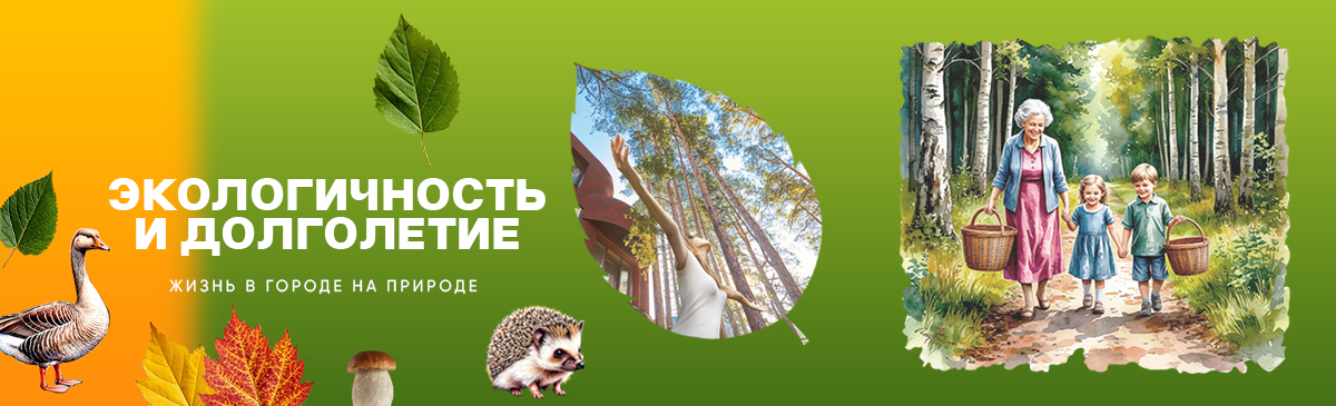 таунхаузы в СПБ